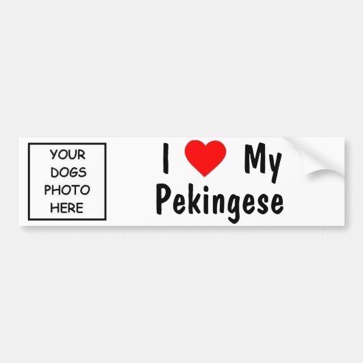 Pekingese Autoaufkleber (Vorne)