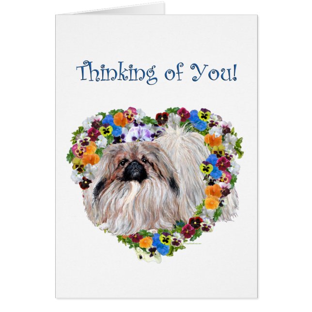 Pekingese bei Stiefmütterchen (Vorne)