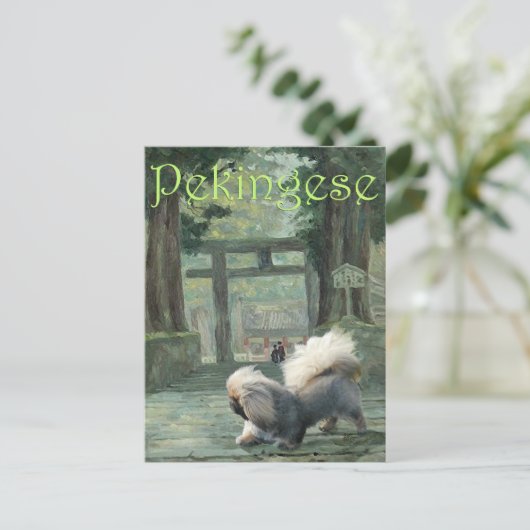 Pekingese beim Oriental Gateway Postkarte (Stehend Vorderseite)
