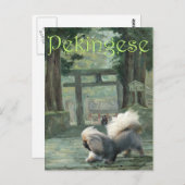 Pekingese beim Oriental Gateway Postkarte (Vorne/Hinten)
