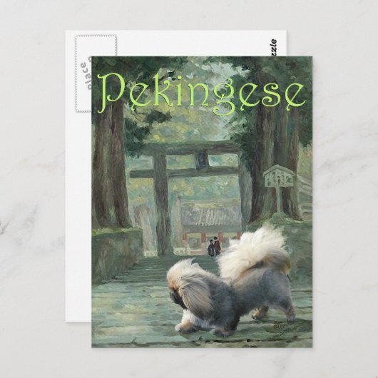 Pekingese beim Oriental Gateway Postkarte (Vorne/Hinten)