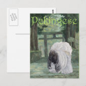 Pekingese beim Oriental Gateway Postkarte (Vorne/Hinten)
