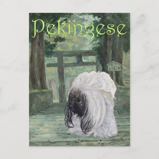 Pekingese beim Oriental Gateway Postkarte (Vorderseite)