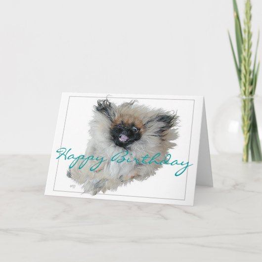Pekingese Birthday Grußkarte Karte (Vorderseite)