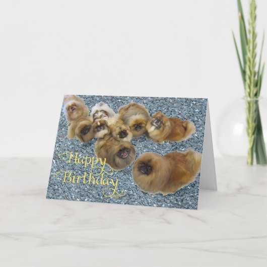 Pekingese Birthday Grußkarte Karte (Vorderseite)