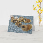 Pekingese Birthday Grußkarte Karte (Gelbe Blume)