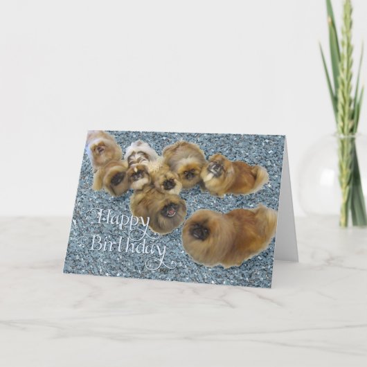 Pekingese Birthday Grußkarte Karte (Vorderseite)