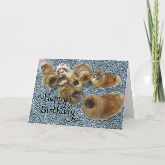 Pekingese Birthday Grußkarte Karte (Vorderseite)