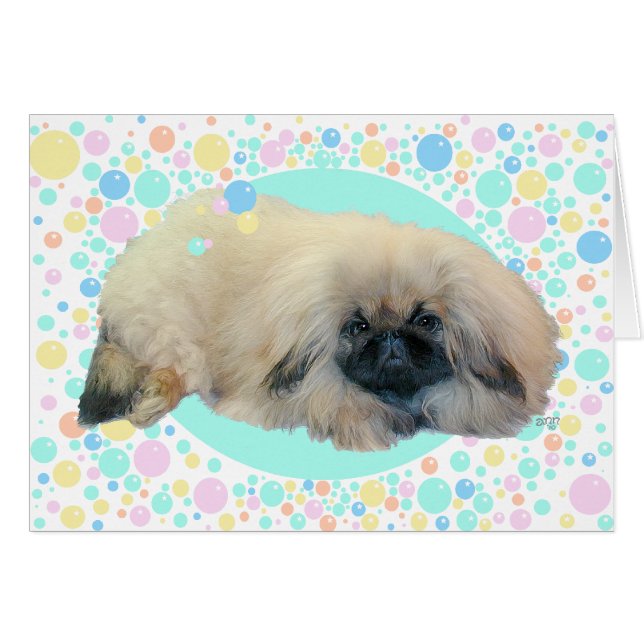 Pekingese Bubble Happy (Vorderseite (Horizontal))