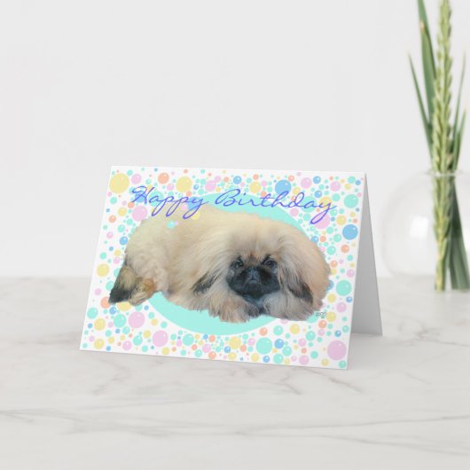 Pekingese Bubble Happy Karte (Vorderseite)