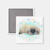 Pekingese Bubble Happy Magnet (Vorderseite/Rückseite)
