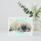 Pekingese Bubble Happy Postkarte (Stehend Vorderseite)