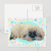 Pekingese Bubble Happy Postkarte (Vorne/Hinten)