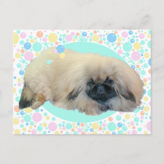 Pekingese Bubble Happy Postkarte (Vorderseite)