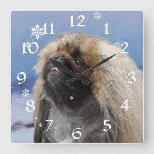 Pekingese Clock Quadratische Wanduhr