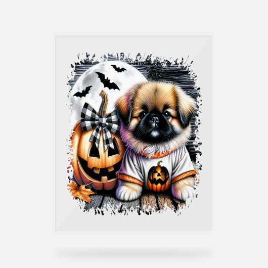 Pekingese Dog Halloween Square Acrylschild (Vorderseite)