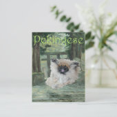 Pekingese Dog Oriental Gate Postkarte (Stehend Vorderseite)