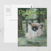 Pekingese Dog Oriental Gate Postkarte (Vorne/Hinten)