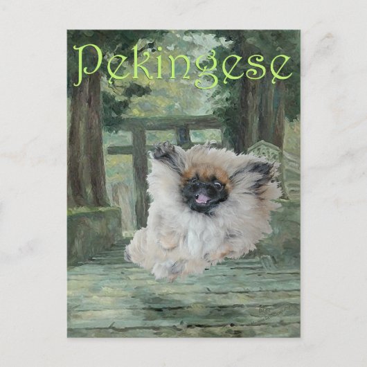 Pekingese Dog Oriental Gate Postkarte (Vorderseite)