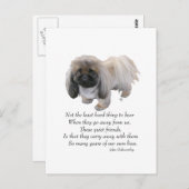 Pekingese Dog Rainbow Bridge Postkarte (Vorne/Hinten)