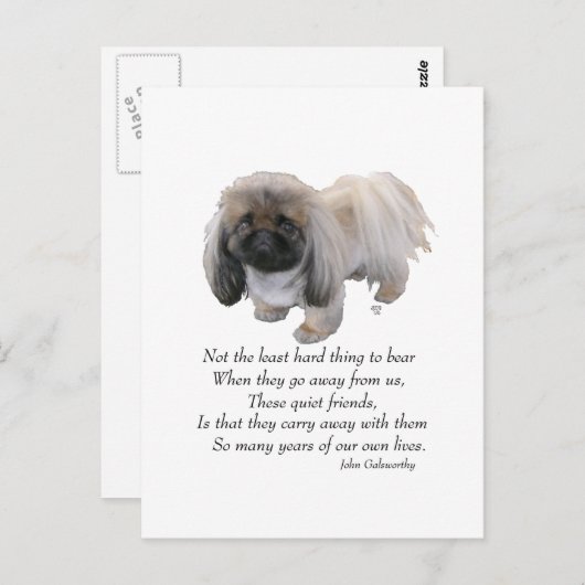 Pekingese Dog Rainbow Bridge Postkarte (Vorne/Hinten)