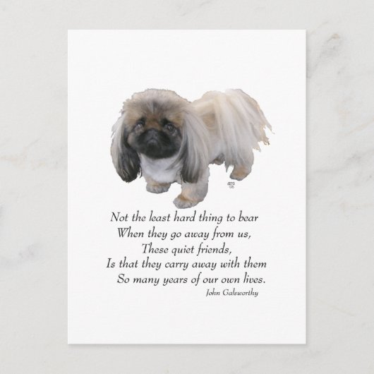 Pekingese Dog Rainbow Bridge Postkarte (Vorderseite)