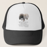 Pekingese Dog Rainbow Bridge