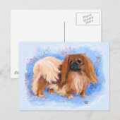 Pekingese Echt Blau Postkarte (Vorne/Hinten)
