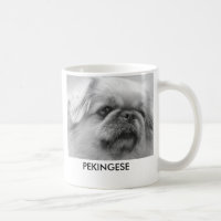 Pekingese, entzückend störrisch und mit