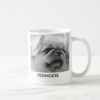 Pekingese, entzückend störrisch und mit kaffeetasse