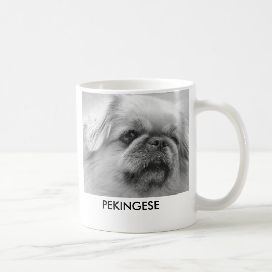 Pekingese, entzückend störrisch und mit kaffeetasse (Rechts)