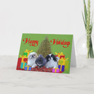 Pekingese Familie Weihnachten