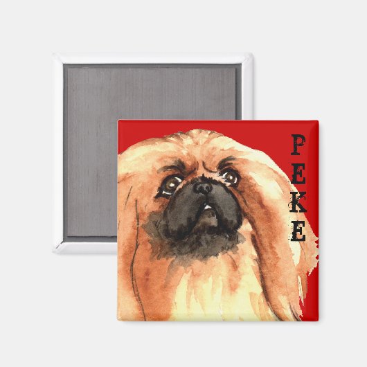 Pekingese Farbblock Magnet (Vorderseite/Rückseite)