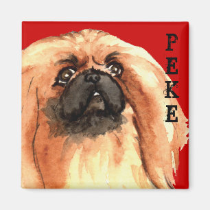 Pekingese Farbblock Magnet