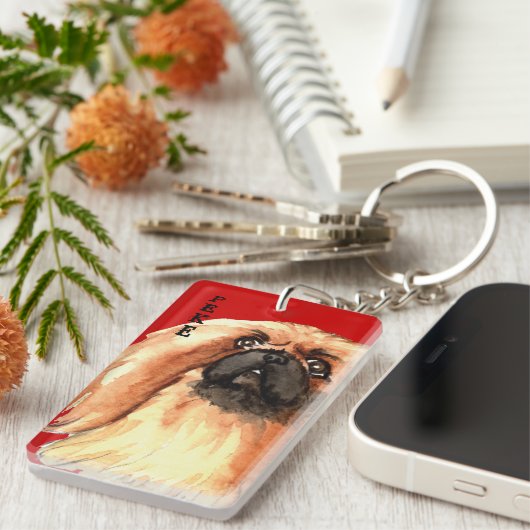 Pekingese Farbblock Schlüsselanhänger (Vorderseite rechts)