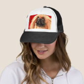 Pekingese Farbblock Truckerkappe (Beispiel)