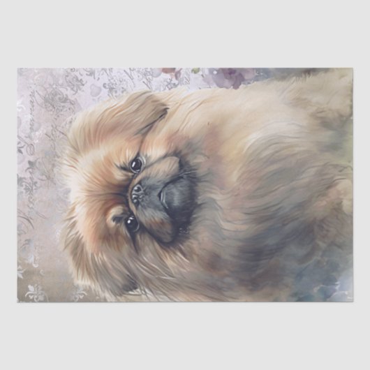Pekingese Floral Dog Seidenpapier (Vorderseite)