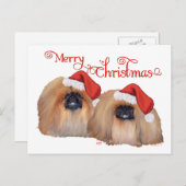 Pekingese Frohe Weihnachten (Vorne/Hinten)