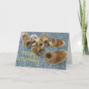 Pekingese Geburtstagskarte Karte