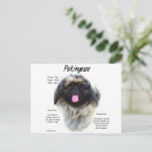 Pekingese Geschichtsdesign Postkarte (Stehend Vorderseite)