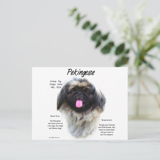 Pekingese Geschichtsdesign Postkarte (Stehend Vorderseite)