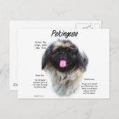 Pekingese Geschichtsdesign Postkarte (Vorne/Hinten)