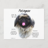 Pekingese Geschichtsdesign Postkarte (Vorderseite)
