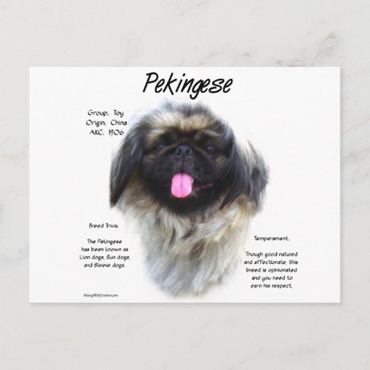 Pekingese Geschichtsdesign Postkarte (Vorderseite)