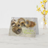 Pekingese Get Well Card Karte (Gelbe Blume)