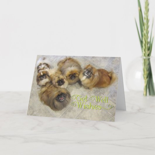 Pekingese Get Well Card Karte (Vorderseite)