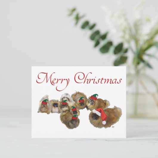 Pekingese Group feiert Weihnachten (Stehend Vorderseite)