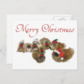 Pekingese Group feiert Weihnachten (Vorne/Hinten)