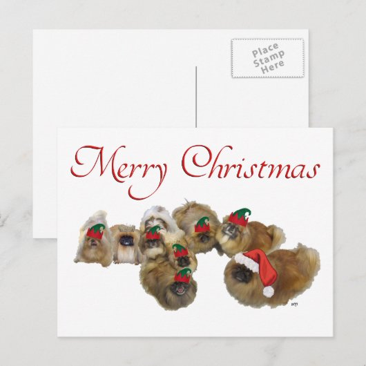 Pekingese Group feiert Weihnachten (Vorne/Hinten)
