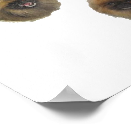 Pekingese-Gruppe Poster (Ecke)